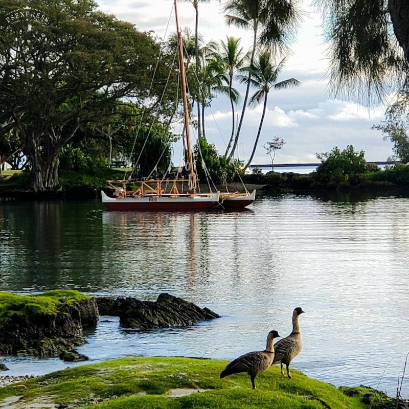 Hilo Reeds Bay Hotel المظهر الخارجي الصورة