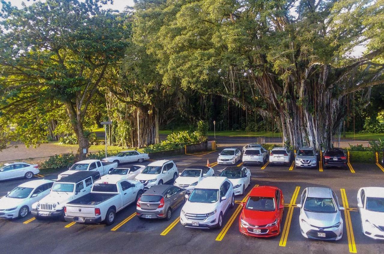 Hilo Reeds Bay Hotel المظهر الخارجي الصورة